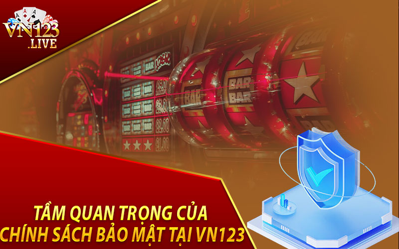 Tầm Quan Trọng Của Chính Sách Bảo Mật Tại VN123